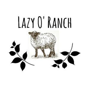 Lazyoranch Lazyoranch